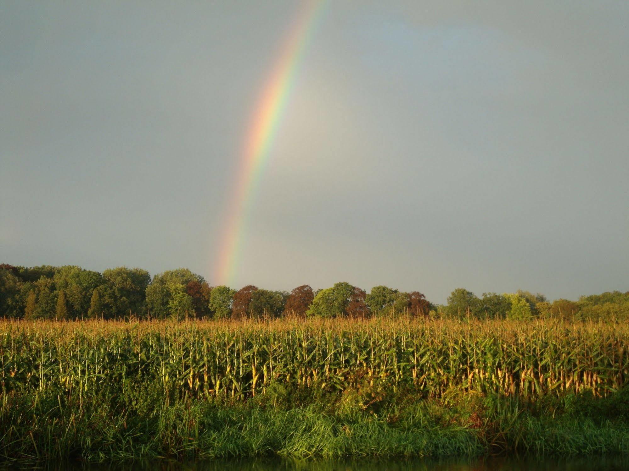 Het Wapen Van Harmelen Bagian luar foto